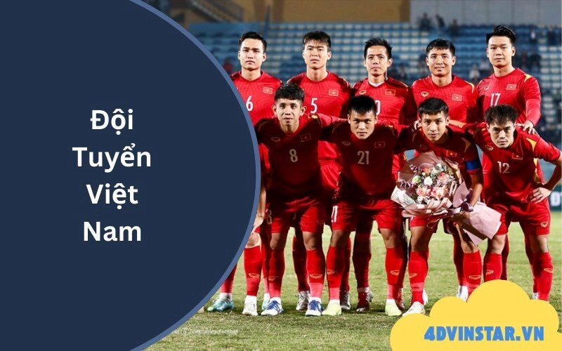Đội Tuyển Việt Nam